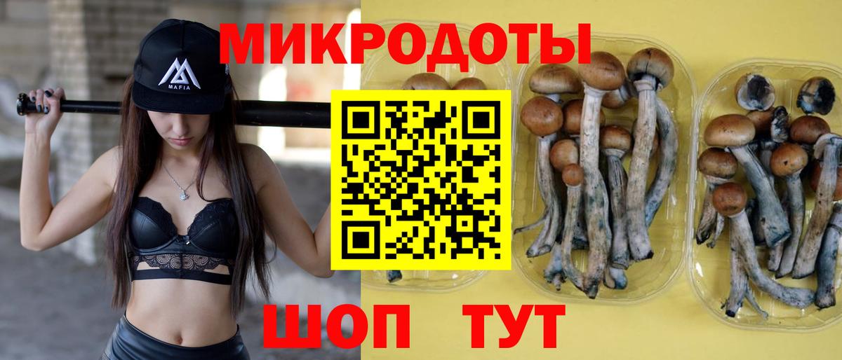 Псилоцибиновые грибы мухоморы Новоалтайск