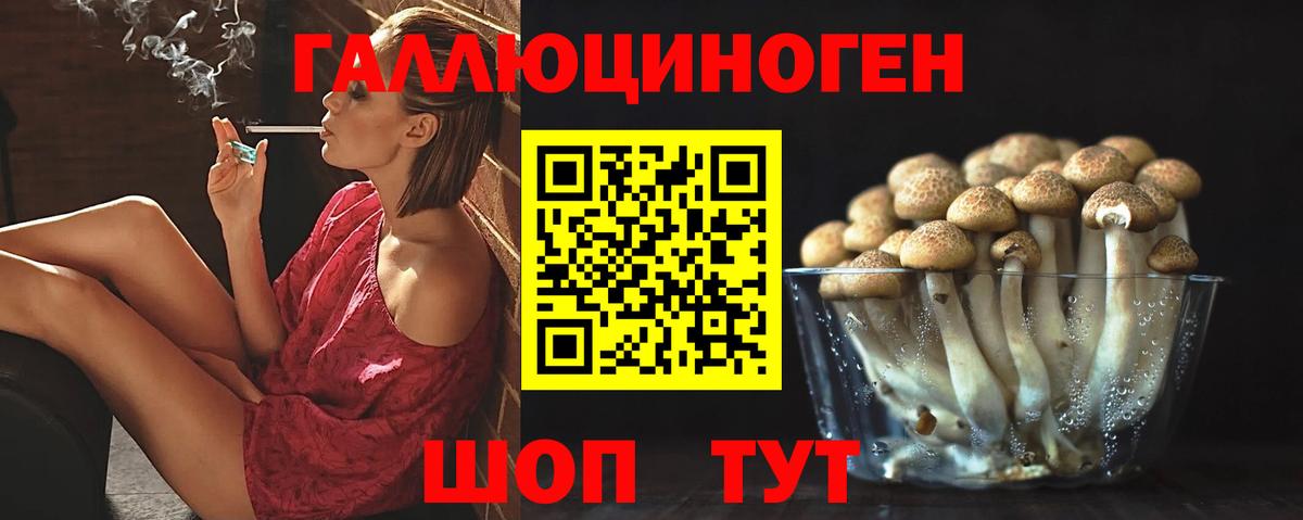 Псилоцибиновые грибы GOLDEN TEACHER  Галлюциногенные грибы Magic Shrooms  цена наркотик  Новоалтайск  Вход с VPN 
