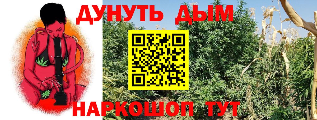 МАРИХУАНА тримм  Бошки марихуана MAZAR  Новоалтайск  Вход с VPN  Марихуана THC 21% 